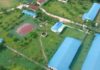 Thâm nhập những trại heo khổng lồ gây ám ảnh ở Đồng Nai