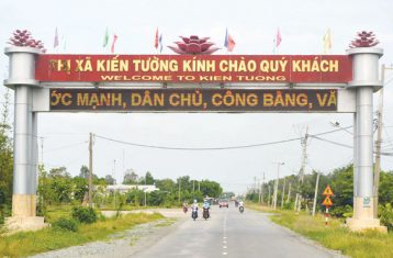Thông đồng, móc nối để dìm giá trong đấu giá đất tại Long An