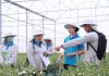 Yara Việt Nam chuyển đổi toàn diện, hưởng ứng mạnh mẽ mục tiêu phát triển bền vững nông nghiệp Việt