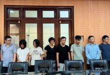 Shark Nguyễn Hòa Bình bị bắt