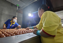 Ba Huân bị cưỡng chế ngừng thủ tục hải quan vì nợ thuế hơn 51 tỉ đồng, người trong cuộc nói gì?